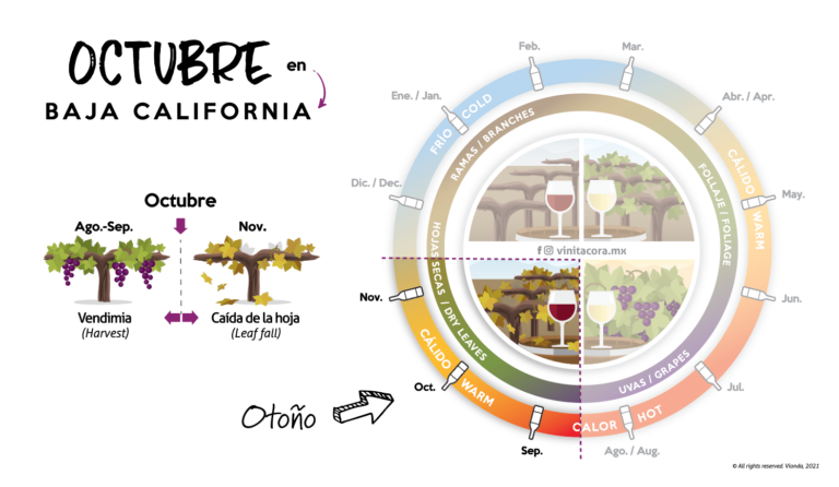 Captura de Pantalla 2021-09-30 a la(s) 11.36.55 p.m