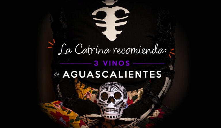 vino de aguascalientes