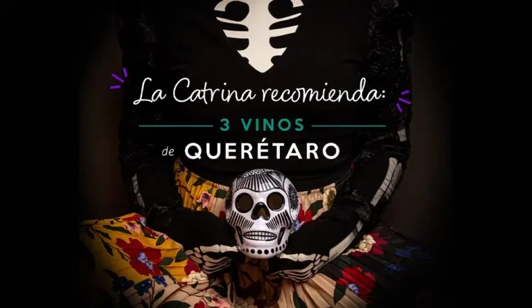 vino-del-dia-de-muertos-baja