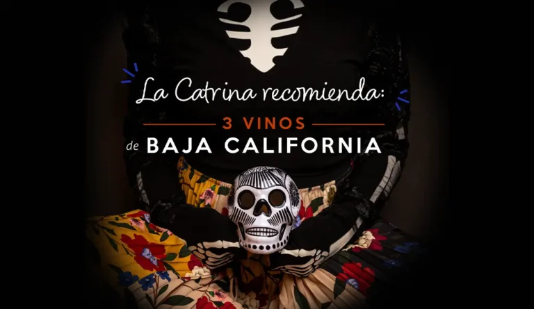 catrina con vinos de baja