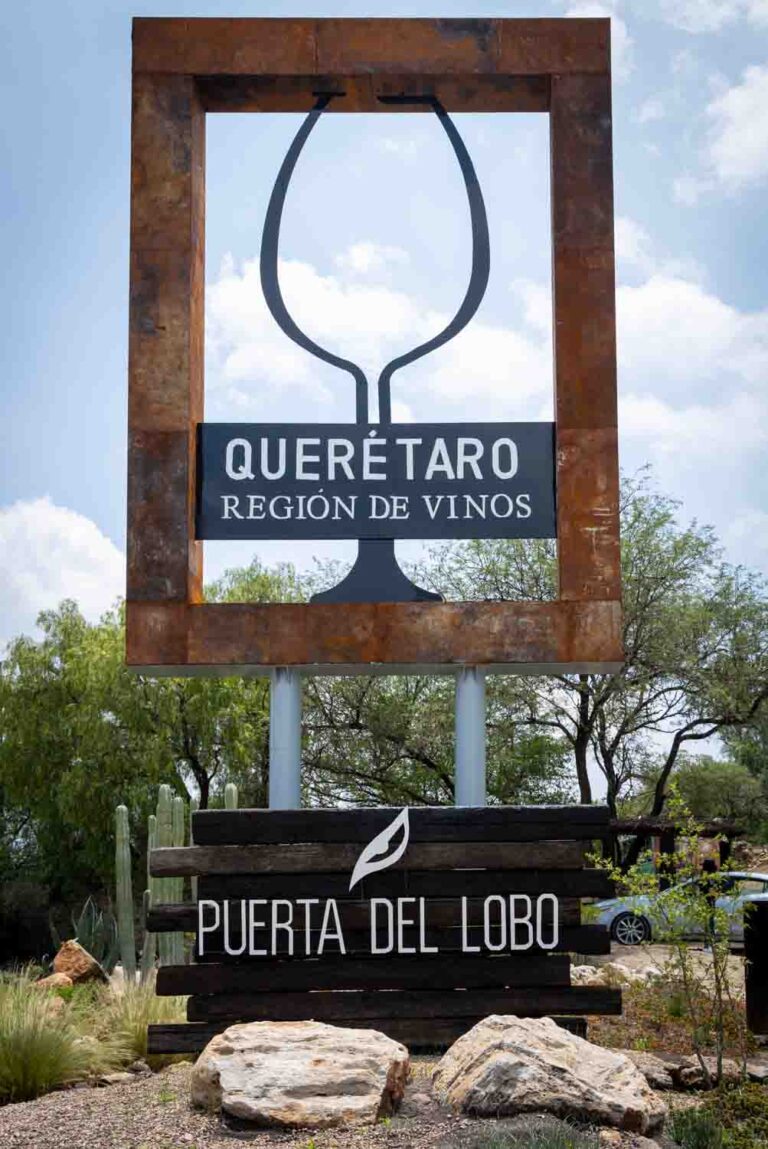 queretaro region de vinos