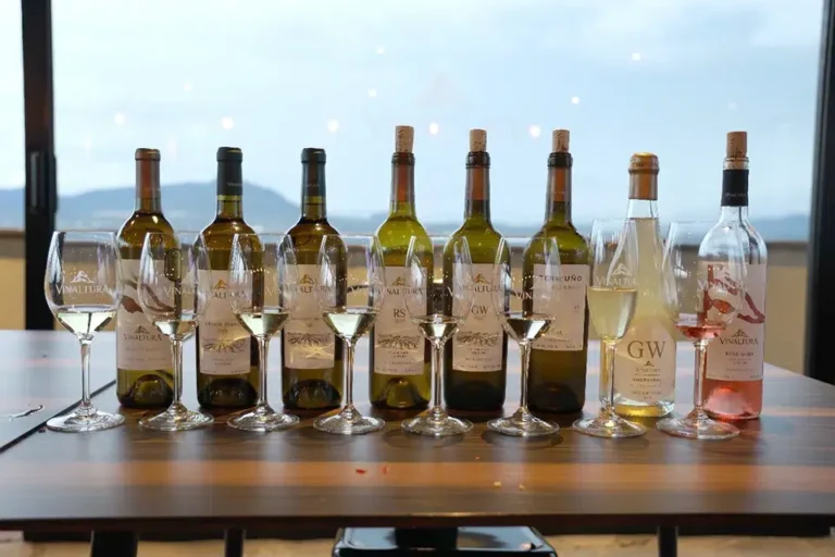 vinaltura-vinos-queretaro