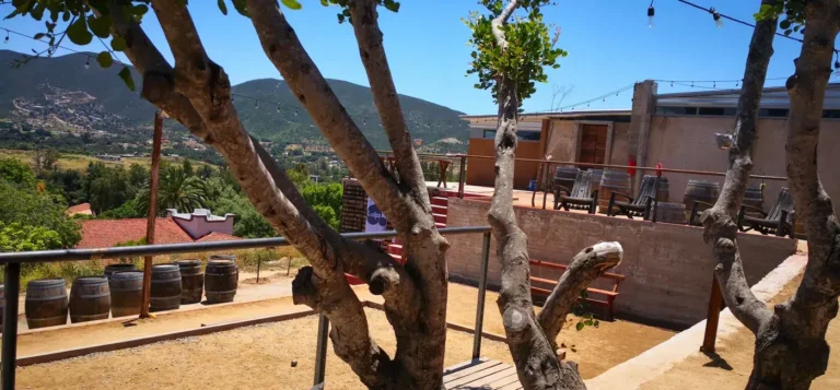 aborigen-valledeguadalupe-bajacalifornia-2