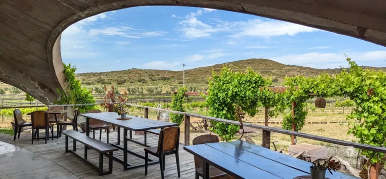 alximia-valledeguadalupe-bajacalifornia-68