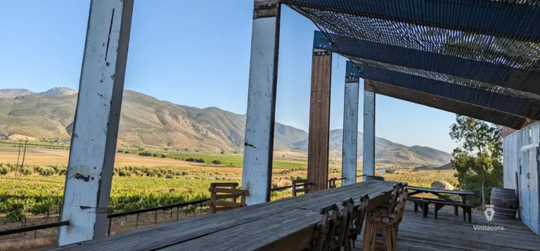 anatolia-valledeguadalupe-bajacalifornia-69