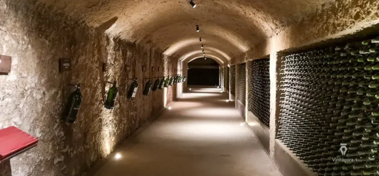 bodegasdomecq-valledeguadalupe-bajacalifornia-67