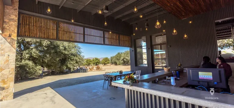 bodegasmagoni-valledeguadalupe-bajacalifornia-24