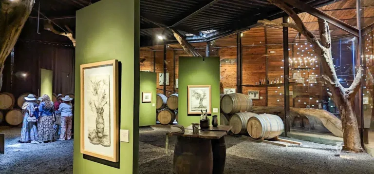 brumavinicola-valledeguadalupe-bajacalifornia-44