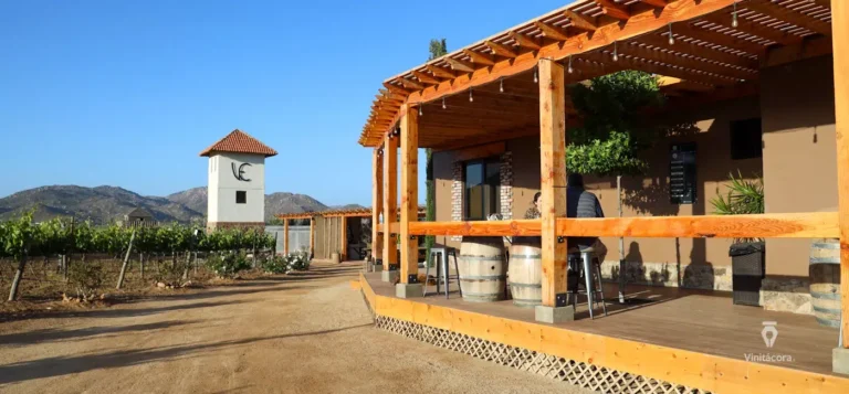 casaemiliana-valledeguadalupe-bajacalifornia-15