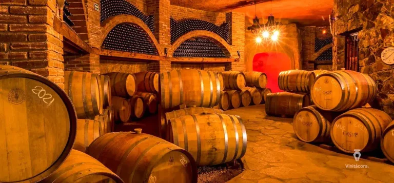 castadevinos-valledegudalupe-bajacalifornia-46