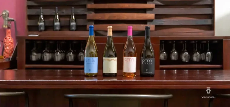 cavacordova-valledeguadalupe-bajacalifornia-32