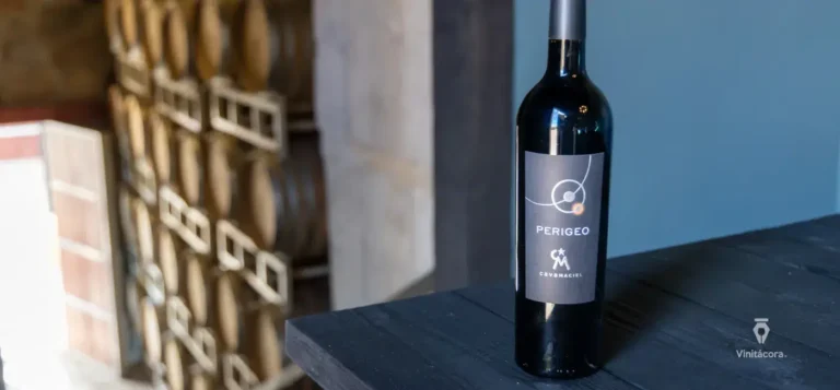 cavamaciel-valledeguadalupe-bajacalifornia-33