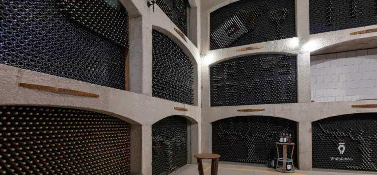 chateaucamou-valledeguadalupe-bajacalifornia-36