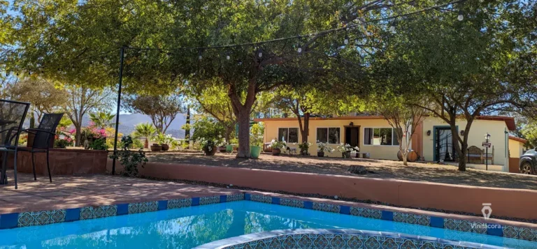 closbenoit--valledeguadalupe-bajacalifornia-25