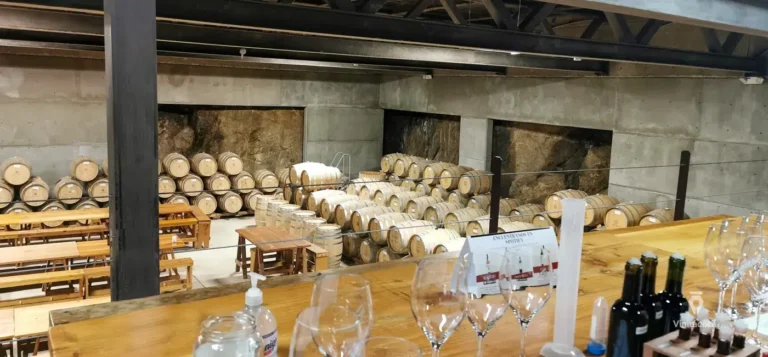 conciertoenologico-valledeguadalupe-bajacalifornia-7