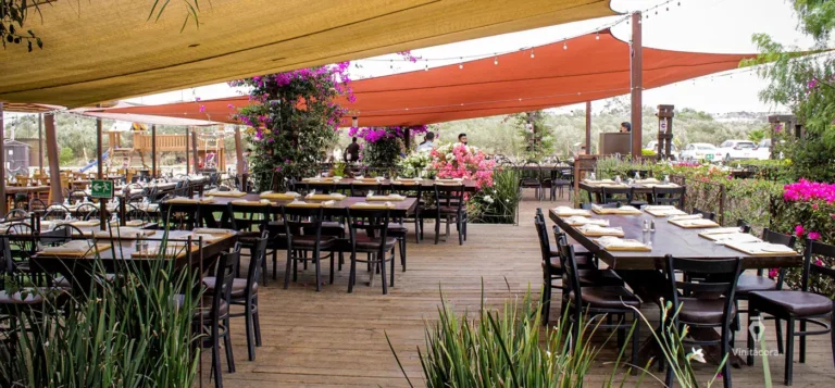 coronadelvalle-valledeguadalupe-bajacalifornia-11