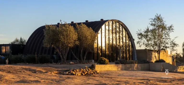 duoma-valledeguadalupe-bajacalifornia-41