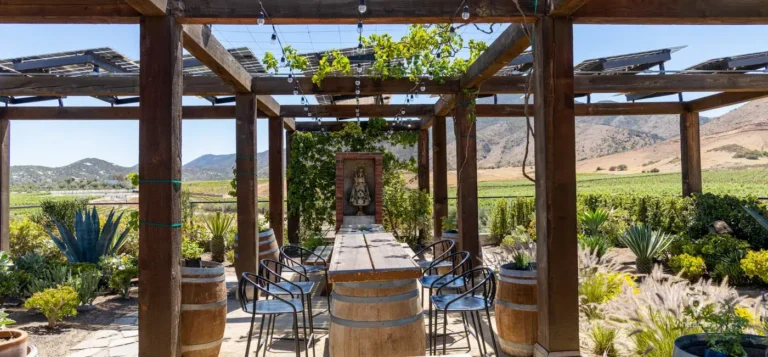 fincalacarrodilla-valledeguadalupe-bajacalifornia-17