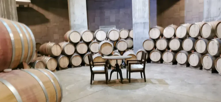 hilonegro-vinos-valledeguadalupe-bajacalifornia-7