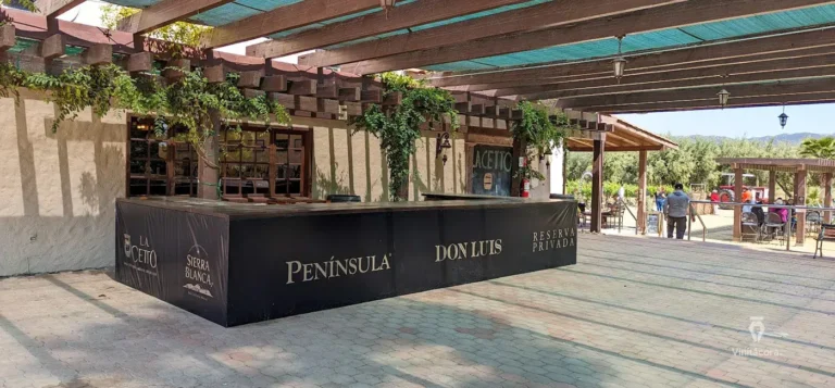 lacetto-valledeguadalupe-bajacalifornia-51