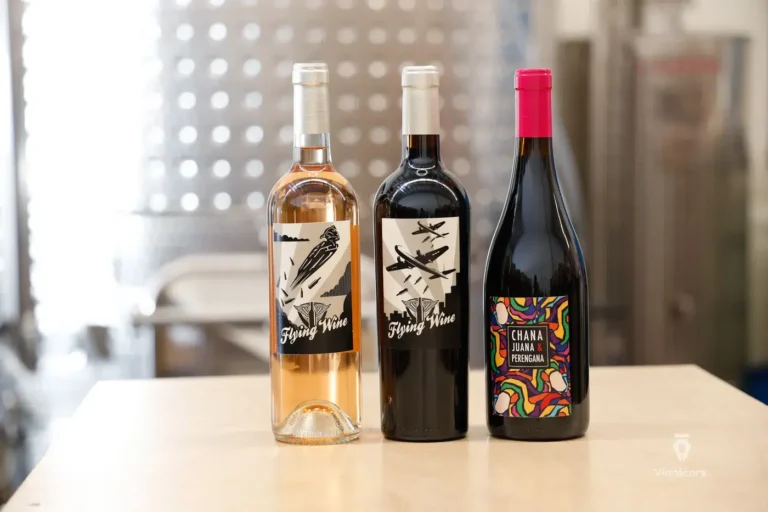 laressistance-valledeguadalupe-bajacalifornia-29