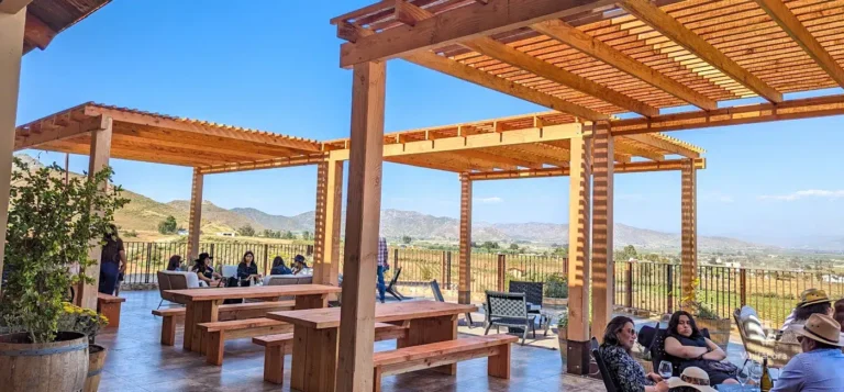 lasnubesvinicola-valledeguadalupe-bajacalifornia-52