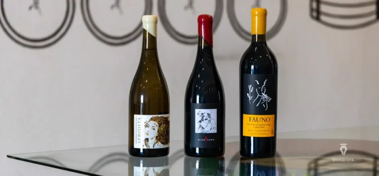 latrinidad-valledeguadalupe-bajacalifornia-30