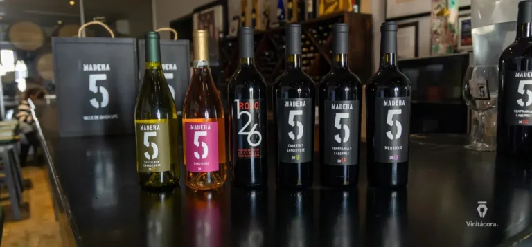 madera5-cavaaragon126-valledeguadalupe-bajacalifornia-31