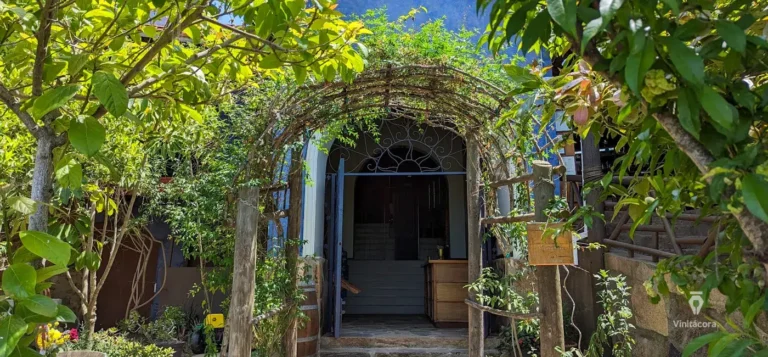 minapenelope-valledeguadalupe-bajacalifornia-55