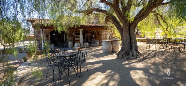 mogorbadan-valledeguadalupe-bajacalifornia-42