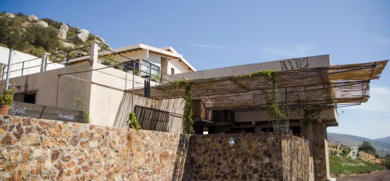 norte32bodegas-valledeguadalupe-bajacalifornia-57