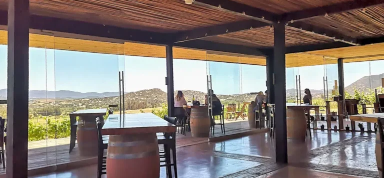 paolonivinos-montefiori--valledeguadalupe-bajacalifornia-66