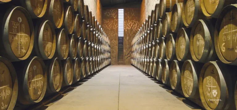 paralelovinicola-valledeguadalupe-bajacalifornia-4