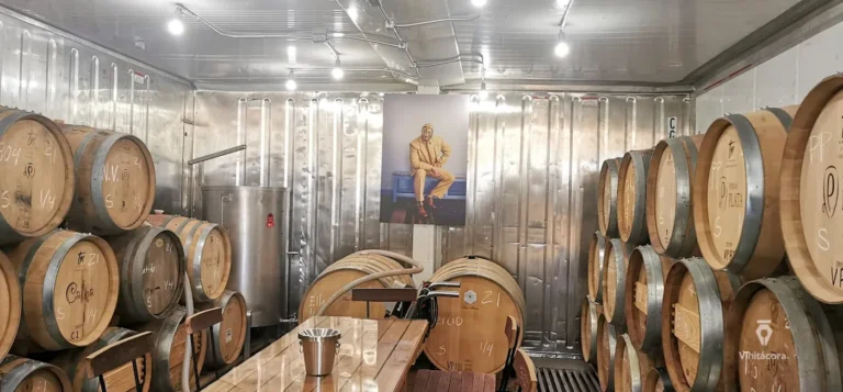 platavinos-valledeguadalupe-bajacalifornia-54