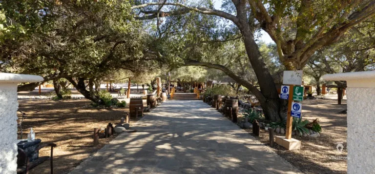 viñasdeliceaga-valledeguadalupe-bajacalifornia-35