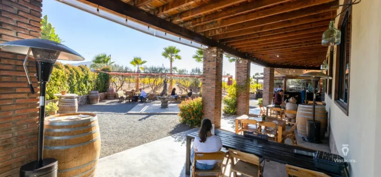 vinoslechuza-valledeguadalupe-bajacalifornia-27