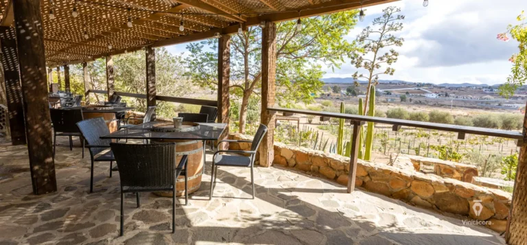 vinospijoan-valledeguadalupe-bajacalifornia-20