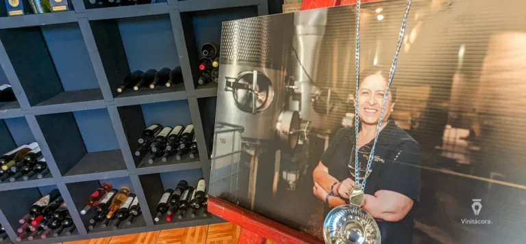 Casazamora-valledesanvicente-bajacalifornia-78