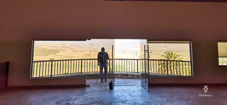 MDvinos-Valledelagrulla-bajacalifornia-6