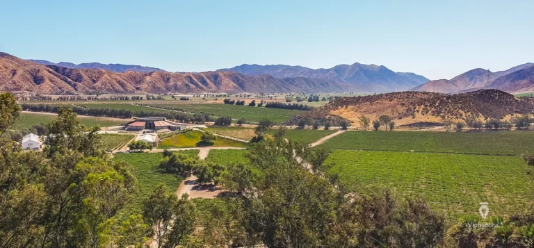 bodegasdesantotomas-valledesantotomas-bajacalifornia-9