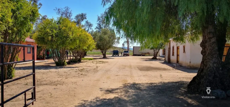 casariguetti-valledeojosnegros-bajacalifornia-71