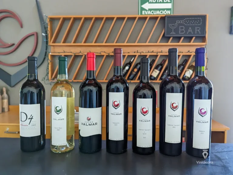 cavasvalmar-valledeguadalupe-bajacalifornia-63