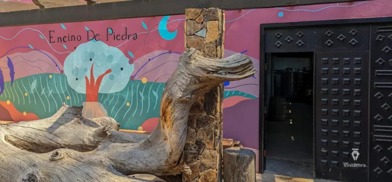 encino de piedra-tecate-bajac alifornia