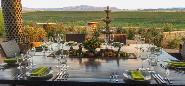 ojosnegrosvinicola-valledeojosnegros-bajacalifornia-72