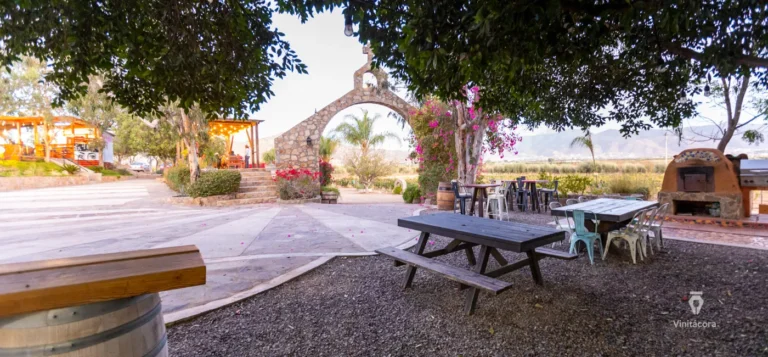 quintamonasterio-valledeguadalupe-bajacalifornia-28