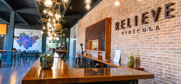 relievevinicola-valledeguadalupe-bajacalifornia-13