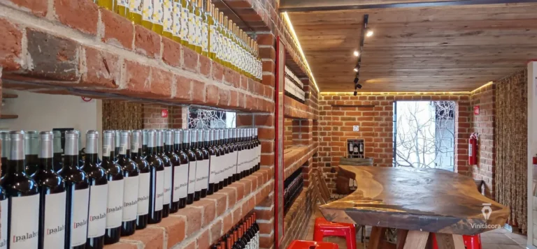 retornovinicola-valledeguadalupe-bajacalifornia-58