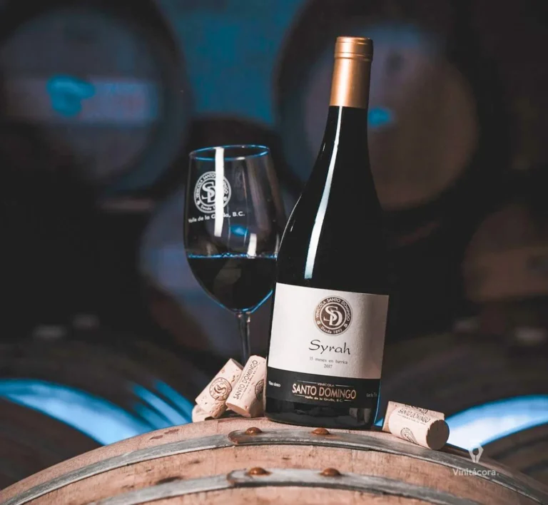 santodomingo-valledelagrulla-bajacalifornia-74