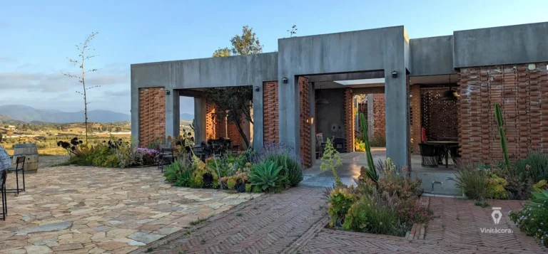 sierravita-valledeguadalupe-bajacalifornia-59