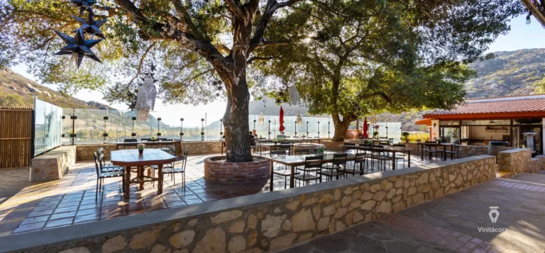 solarfortun-valledeguadalupe-bajacalifornia-34